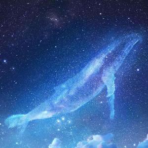 一出一抽bgm60秒的背景故事
