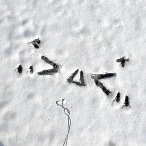 一出一抽bgm60秒的背景故事
